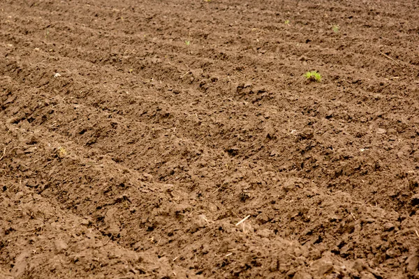 Soil — Stock Photo, Image