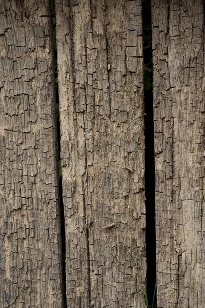 Legno — Foto Stock