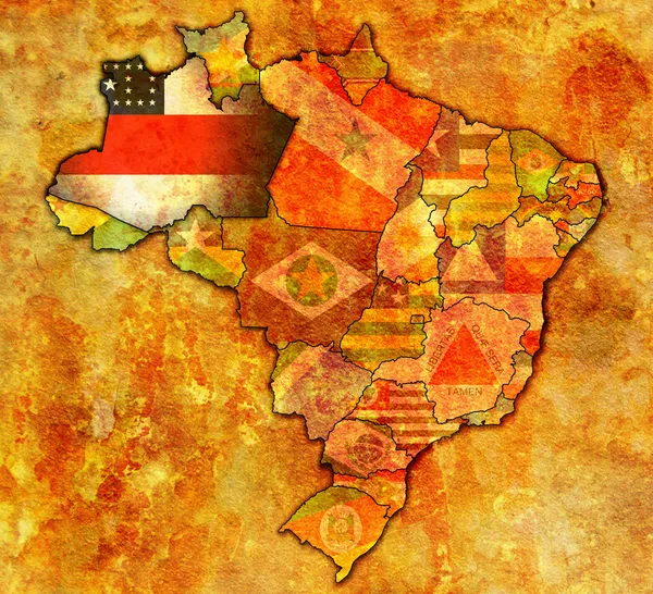 Amazonas state on map of brazil — Stock Photo, Image