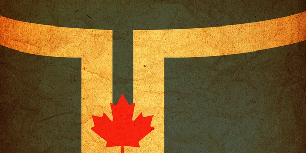 Флаг Торонто — стоковое фото