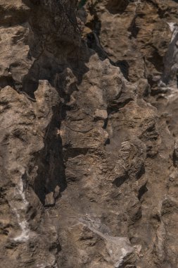 Karst 'ın etkileri kireçtaşı taşının detaylarında görülebilir.