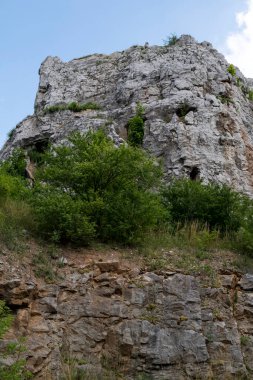 Eski kireçtaşı ocağının jeolojik manzarası ve mevcut doğa Polonya 'nın Kielce şehrinde Kadzielnia rezervi