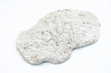 Beyaz zemin üzerinde izole fosilleri olan kireçtaşı