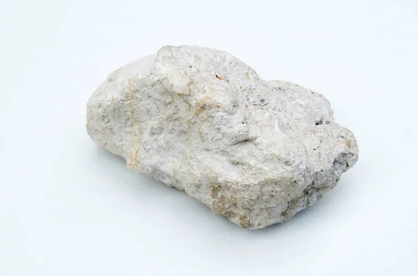 Limestone Fossils Isolated White Background — Photo