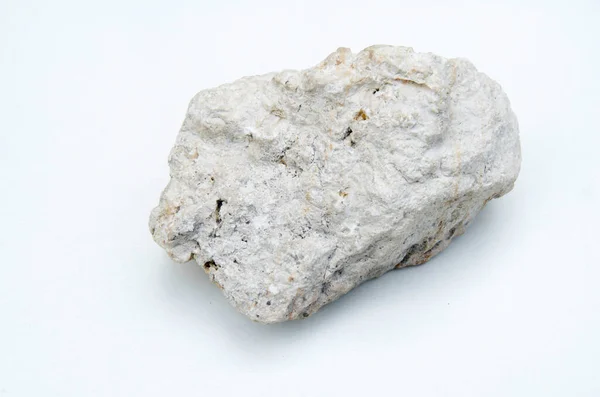 Calcare Con Fossili Isolati Fondo Bianco — Foto Stock