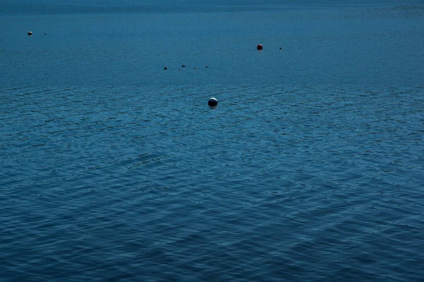 Boa Una Tranquilla Acqua Blu Durante Giornata Estiva — Foto Stock