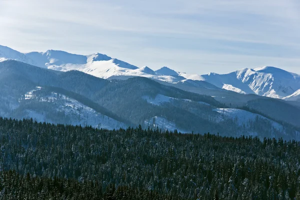 Kışın güzel Polonya tatra Dağları — Stok fotoğraf