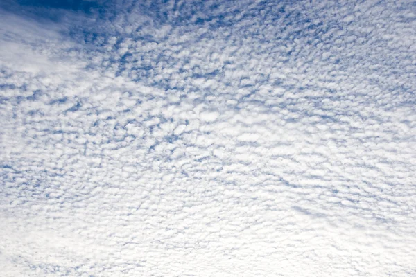 Feathery clouds in the blue sky — Stock Photo, Image