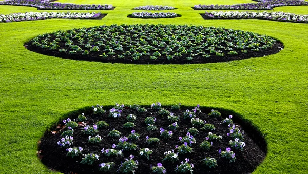 taze çiçek yatak kazdık