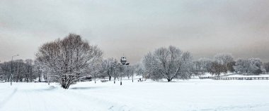Ahşap binalar ve fenerlerle dolu bir parkta kış manzarası. Kolomenskoe, Moskova, Rusya