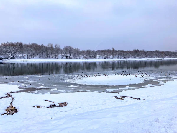 Winter Landscape River Birds Kolomenskoe Moscow Russia — Stock Photo, Image