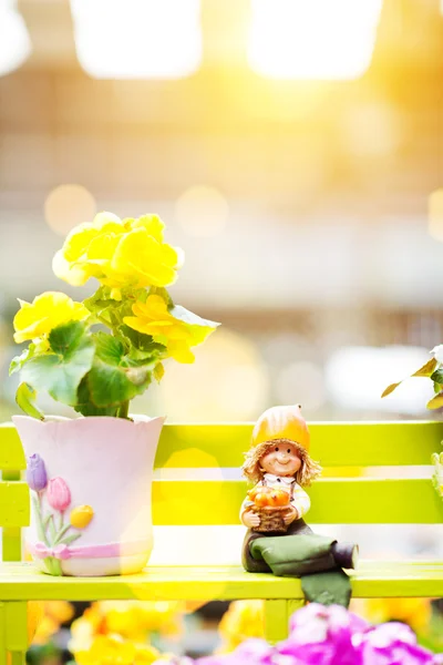 Rieger begonia и фарфоровая кукла — стоковое фото