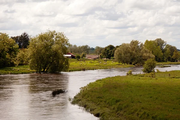 Rzeka w lecie, Irlandia — Zdjęcie stockowe
