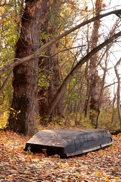 Bateau plat dans la forêt — Photo