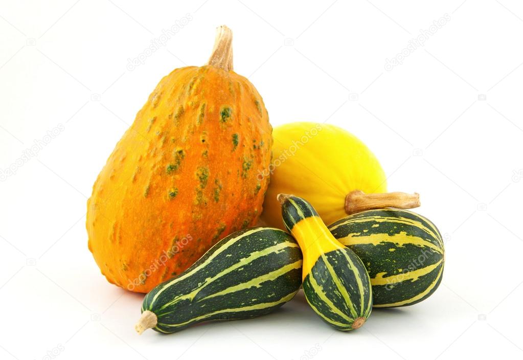 Colorful pumpkins on white background