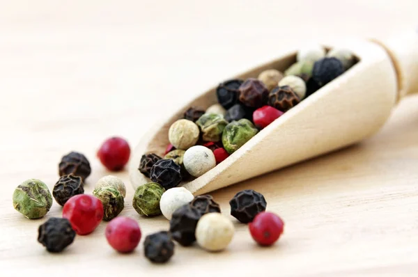 Colorful Peppers Mix in wooden scoop — Stock Photo, Image