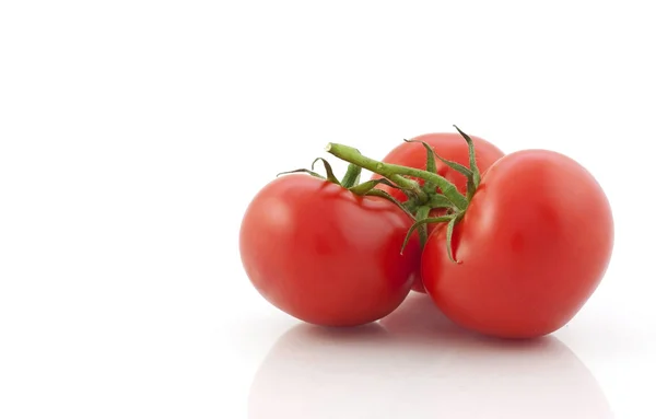 Tomate isolado — Fotografia de Stock