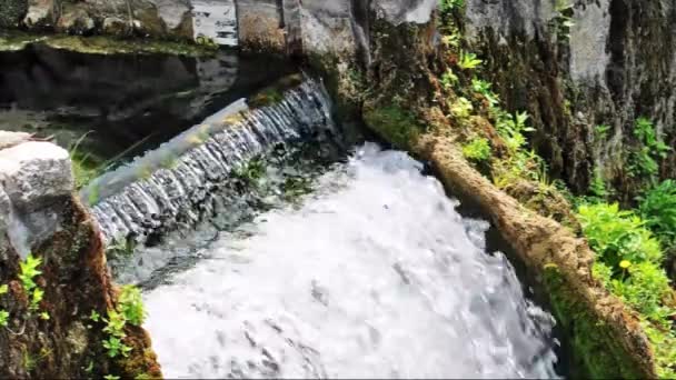 Pequena cachoeira em um parque — Vídeo de Stock