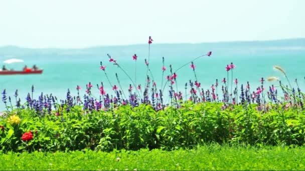 在夏季，匈牙利的巴拉顿湖 — 图库视频影像