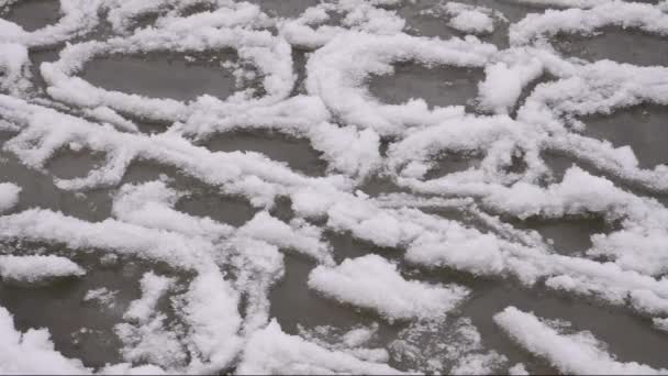 Лед, плавающий на озере Балатон (нормальные кадры скорости ) — стоковое видео