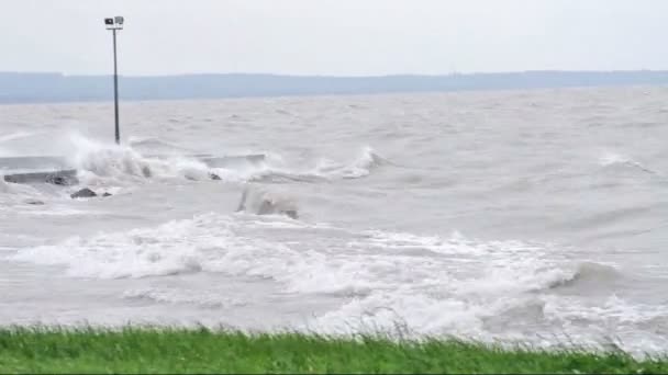 Дуже сильний вітер на озері Балатон, Угорщина — стокове відео