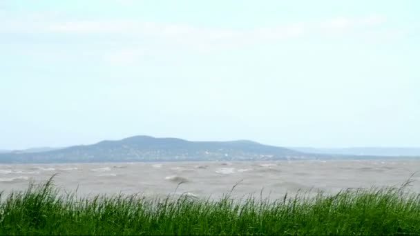 Jezioro balaton w burzliwy wiatr, Węgry — Wideo stockowe