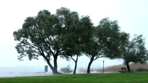 Stormy Lake Balaton, Hungary — Stock Video