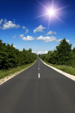 doğrudan ana yol orman yol açar.