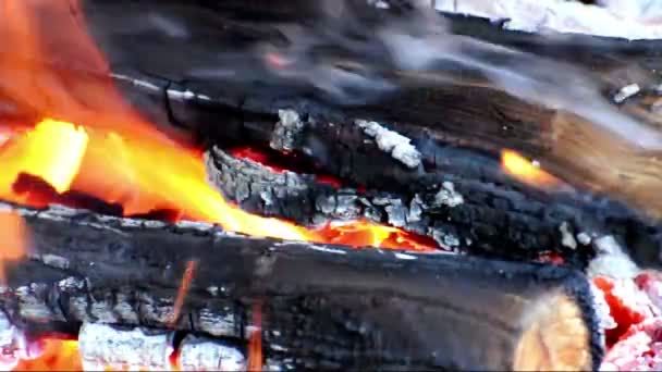 Madera en llamas — Vídeo de stock