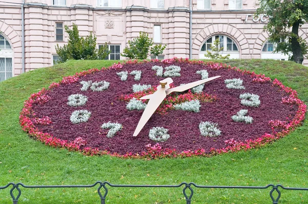 Floral clock — Stock Photo, Image