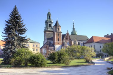 Wawel Katedrali