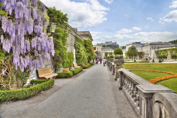 mirabell Sarayı bahçeleri