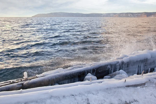 Icy logs — Stock Photo, Image