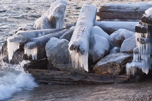 Icy logs — Stock Photo, Image