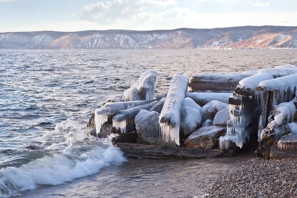 Icy logs — Stock Photo, Image