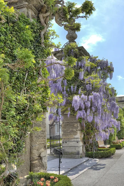 Ogrody pałacu mirabell — Zdjęcie stockowe