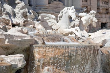 Trevi Çeşmesi