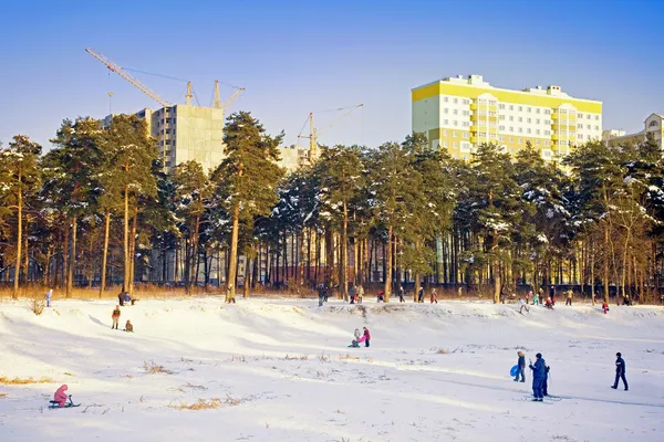 Nel parco invernale — Foto Stock