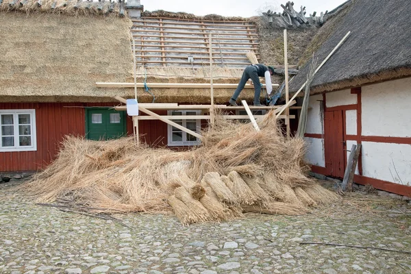 Reetdach — Stockfoto