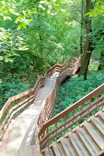 Steep stair in a ravine — Stock Photo, Image