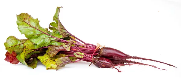 Beet with tops — Stock Photo, Image