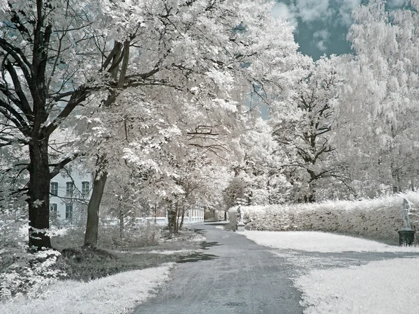 Hoeve kuskovo. infrarood foto — Stockfoto