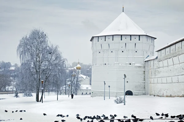 Dreifaltigkeitslavra des hl. Sergius — Stockfoto