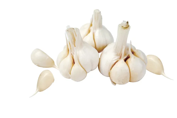 Garlic — Stock Photo, Image