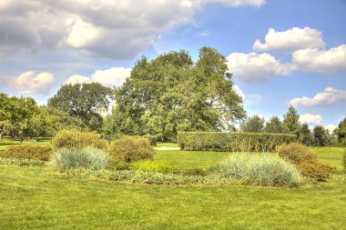 parkta flowerbed. HDR