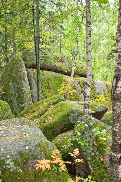 Staat natuurreservaat "stolb" (pijlers) — Stockfoto