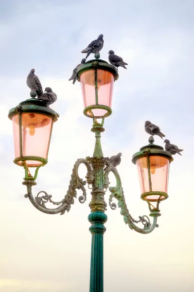 Pigeons on an old lamp. HDR — Stock Photo, Image