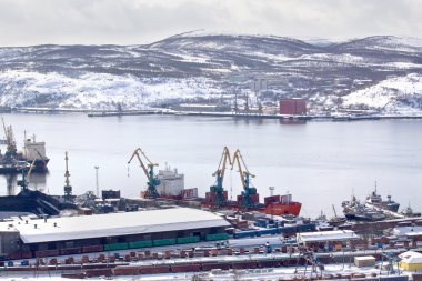 Murmansk şehir