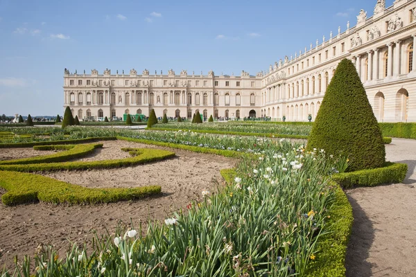 Les plantes sont dans un parc de palais — Photo