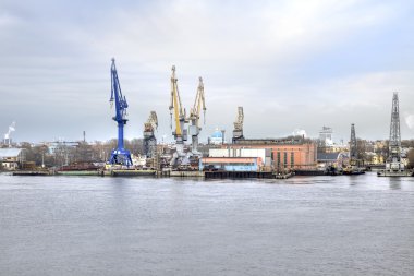 liman şehri saint Petersburg